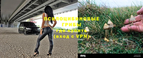 прущие крисы Вяземский